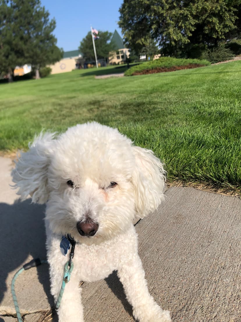 button lookin cute 1