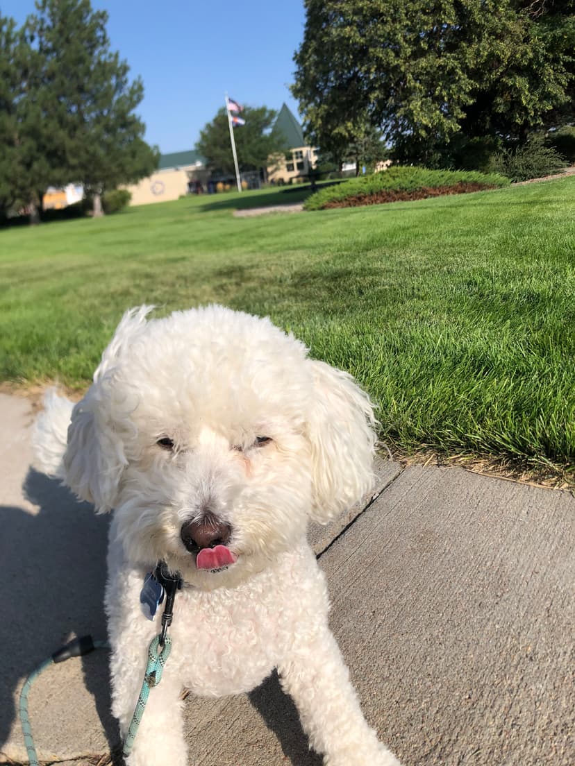 button lookin cute 2